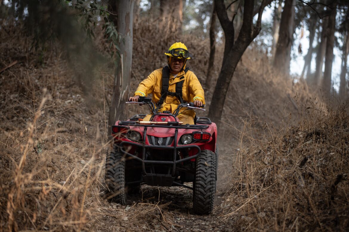 Bomberos en Bosque Los Colomos