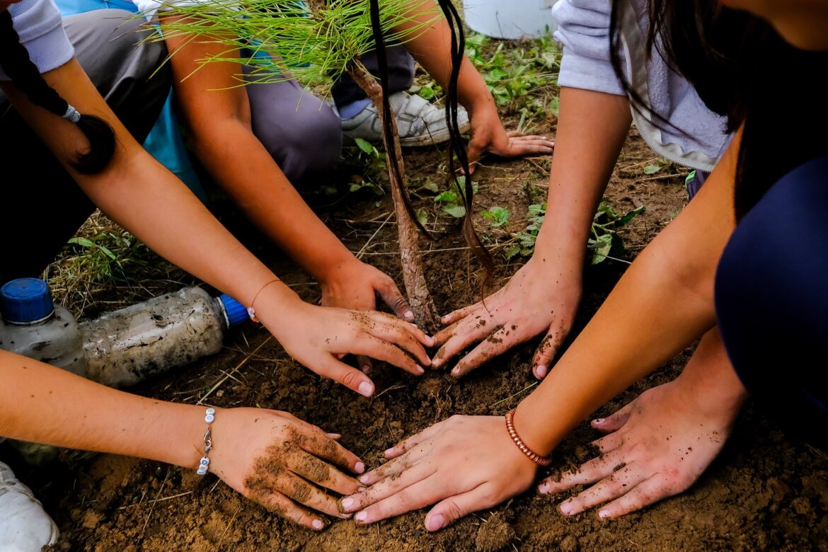 Comienza en Jalisco reforestación 2025